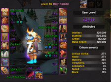 Wow acc holypaladin gebraucht kaufen  Hannover