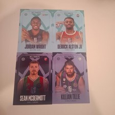 Hoops champions bcl usato  Spedire a Italy