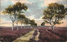 Lueneburger heide birkenweg gebraucht kaufen  Deutschland