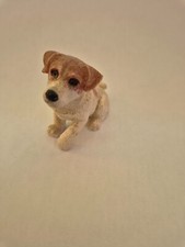 Small jack russell for sale  DARTFORD