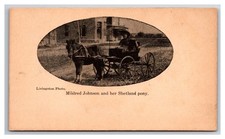 cart pony shetland for sale cart pony shetland for sale Oakland