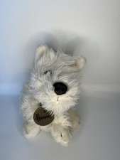 Harrods westie dog for sale  DUDLEY