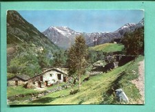 Cartolina spedita villa usato  Molfetta
