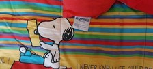 Snoopy trapunta singola usato  Roma
