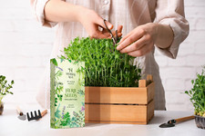 Grow herb garden for sale  BIRMINGHAM