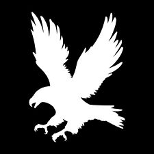 American eagle vinyl for sale  Kailua Kona