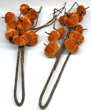 Velvet pumpkin stems for sale  Boise
