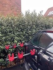 Rear mounted car for sale  MANCHESTER