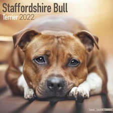 Calendrier 2022 staffordshire d'occasion  Troyes