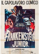 Frankenstein junior brooks usato  Sassocorvaro Auditore