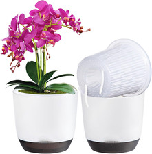 Pack orchid pots for sale  Denver