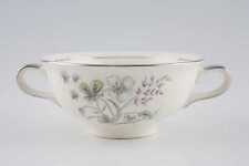 Midwinter mayfield soup for sale  KENILWORTH