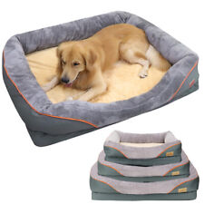 Pet dog cat for sale  LOUGHBOROUGH