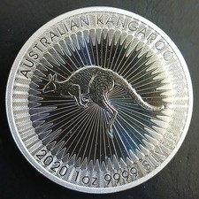 25x 1oz silber gebraucht kaufen  Sebnitz
