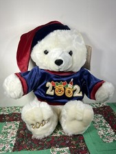 2002 kmart teddy for sale  Pittsville