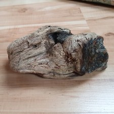 Schwemmholz treibholz hammerte gebraucht kaufen  Werneuchen