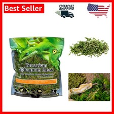 Galápagos terrarium moss for sale  El Mirage