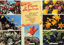 Flore alpine d'occasion Flore alpine d'occasion  France
