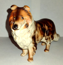 Japan collie dog for sale  Watertown