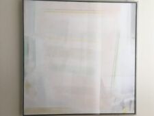 Riccardo guarneri acquerello usato  Firenze