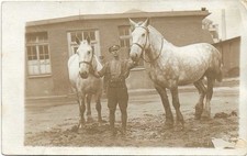 bedfordshire regiment for sale  DEAL