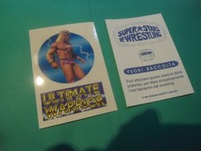 Superstars wrestling ultimate usato  Cagliari
