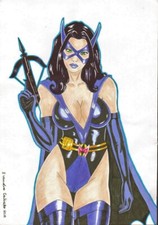 CAÇADORA 8X12 DESENHO DE ARTE ORIGINAL PÁGINA PINUP ESBOÇO DC COMICS BATMAN PÁSSAROS PRESA, usado comprar usado  Enviando para Brazil