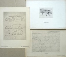 Gaul slevogt . gebraucht kaufen  Leipzig