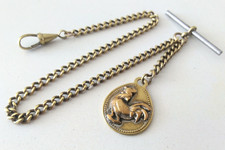 Albert pocket watch for sale  BANWELL