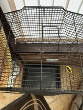 Large bird cage for sale  WORCESTER