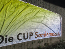 Cup sondermodelle fahne gebraucht kaufen  Minden