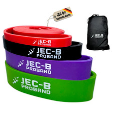 Jec klimmzug band gebraucht kaufen  Nordhorn