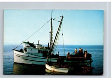 Puget sound salmon for sale  Morrison