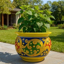 Vaso cachepot gaspò usato  Italia