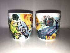 Wild wolf ltd. for sale  DERBY