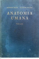 Anatomia umana. volume usato  Italia