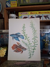 Vintage old aquarium for sale  Phoenix