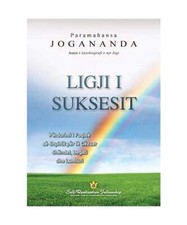 The law success gebraucht kaufen  Trebbin