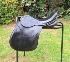 Fabulous black ideal for sale  MACCLESFIELD