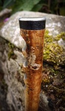 Countryman walking stick for sale  CAERNARFON