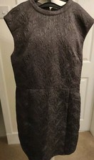 Beautiful oasis brown for sale Beautiful oasis brown for sale  WREXHAM