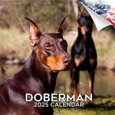 Doberman dog breed for sale  Traverse City