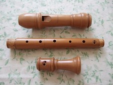Mollenhauer dolce alt gebraucht kaufen  Salzwedel