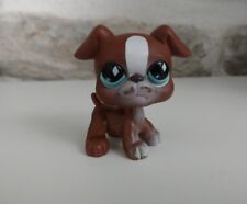 Petshop chien boxer d'occasion  Concarneau