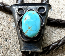 Early vintage waterweb for sale  Luverne
