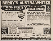 1946 print berry for sale  Sterling Heights