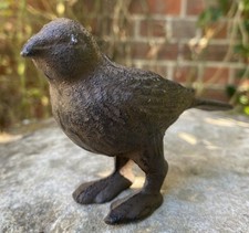 robin bird for sale robin bird for sale BRISTOL