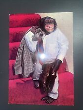 Brooke bond chimp for sale  RINGWOOD