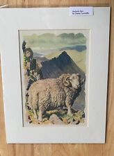 Charles tunnicliffe herdwick for sale  LITTLEHAMPTON