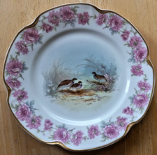Conjunto de 12 pratos de pássaros Theodore Haviland Limoges França 8 3/4" jogo recortado  comprar usado  Enviando para Brazil
